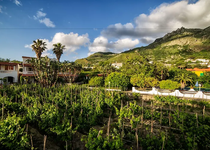 Residence San Domenico